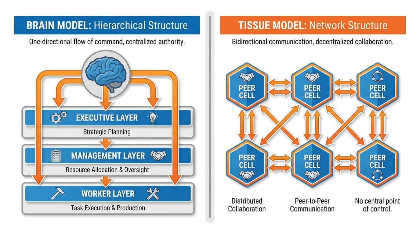 Two diagrams side by side — a brain with arrows pointing down through layers, and a multicellular tissue with cells communicating peer-to-peer
